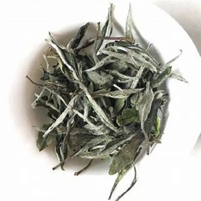 China White Peony Tea