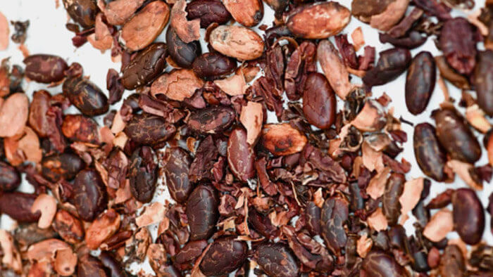 Fermentation of Cocoa Beans