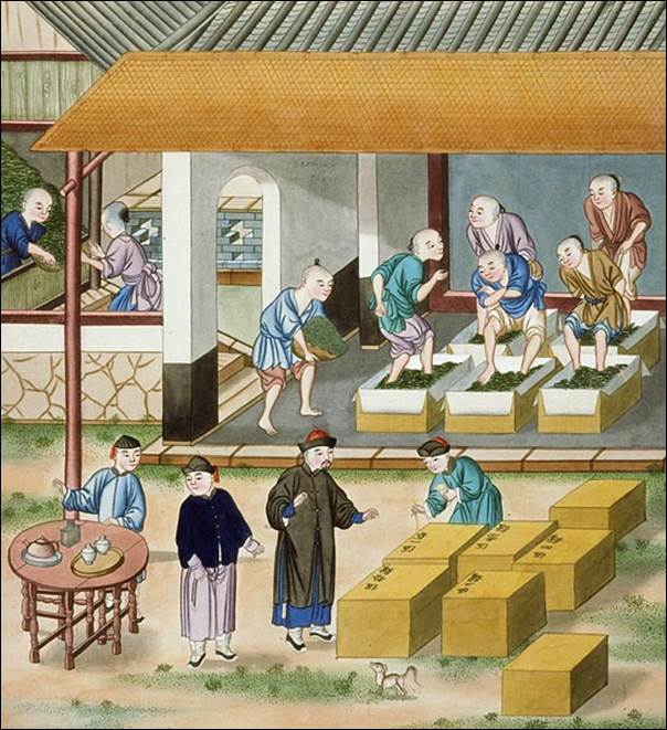 Historical Chinese Tea Culture